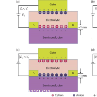 Electrolyte-gated transistors for neuromorphic applications