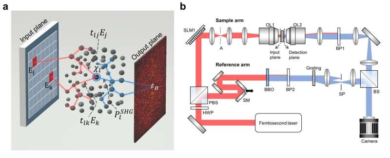韩国研究团队发现利用非线性散射介质进行光学加密、计算和机器学习的方法