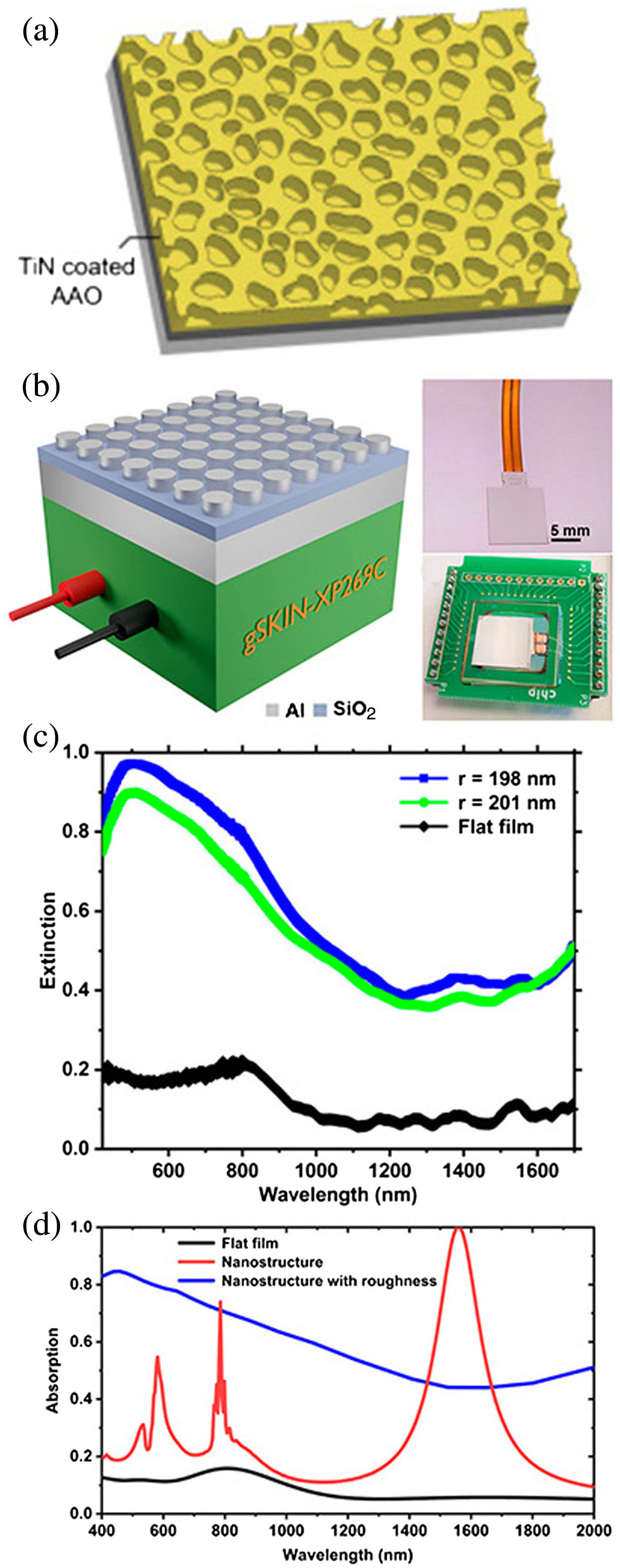 Recent advances on perfect light absbers their promise f