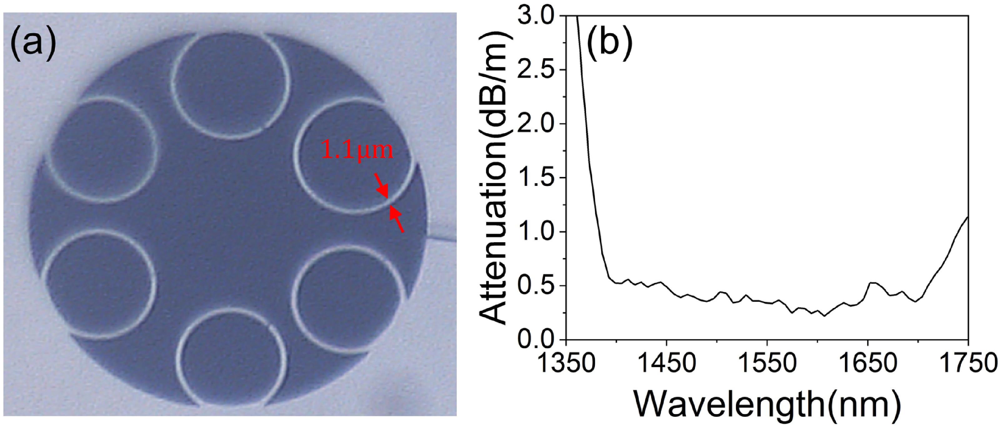 Tunable erbium-doped fiber lasers based on modulatable hollow-core anti ...