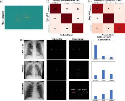 Screening COVID-19 from chest X-ray images by an optical diffractive ...